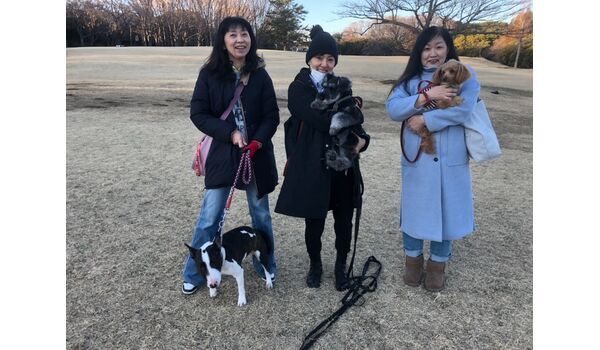 犬のしつけ教室・出張レッスン・無駄吠えの矯正レッスンを行うドッグスクール ヴィッセ、今日のわん子達～2月9日 