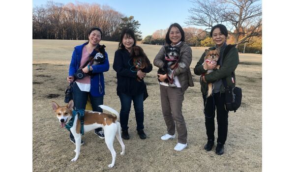 犬のしつけ教室・出張レッスン・無駄吠えの矯正レッスンを行うドッグスクール ヴィッセ、今日のわん子達～2月13日 