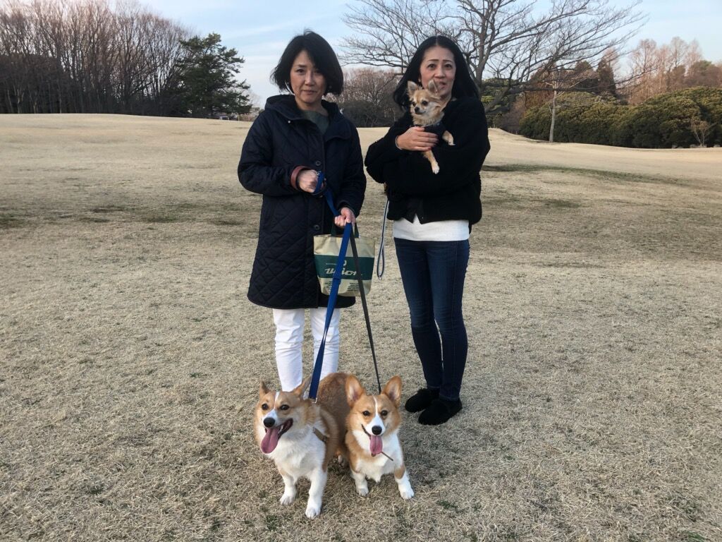 横浜市の犬のしつけ教室/今日のわん子達