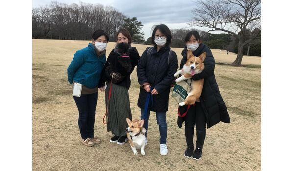 犬のしつけ教室・出張レッスン・無駄吠えの矯正レッスンを行うドッグスクール ヴィッセ、今日のわん子達～2月28日 