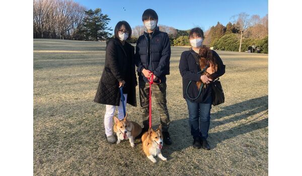 犬のしつけ教室・出張レッスン・無駄吠えの矯正レッスンを行うドッグスクール ヴィッセ、今日のわん子達～3月5日 
