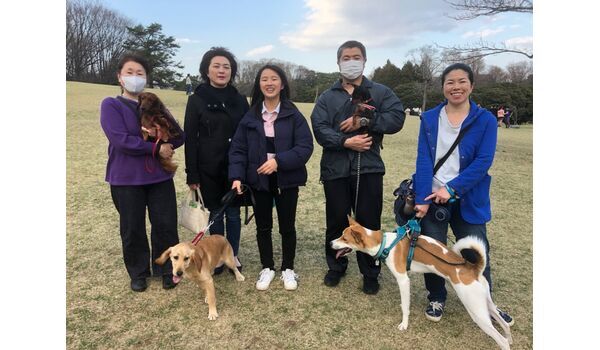 犬のしつけ教室・出張レッスン・無駄吠えの矯正レッスンを行うドッグスクール ヴィッセ、今日のわん子達～3月19日 