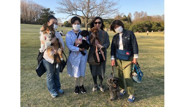 犬のしつけ教室・出張レッスン・無駄吠えの矯正レッスンを行うドッグスクール ヴィッセ、今日のわん子達～3月26日 
