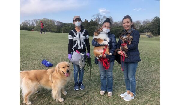 犬のしつけ教室・出張レッスン・無駄吠えの矯正レッスンを行うドッグスクール ヴィッセ、今日のわん子達～4月2日 