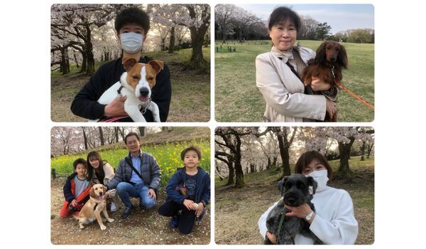 犬のしつけ教室・出張レッスン・無駄吠えの矯正レッスンを行うドッグスクール ヴィッセ、今日のわん子達～4月3日 