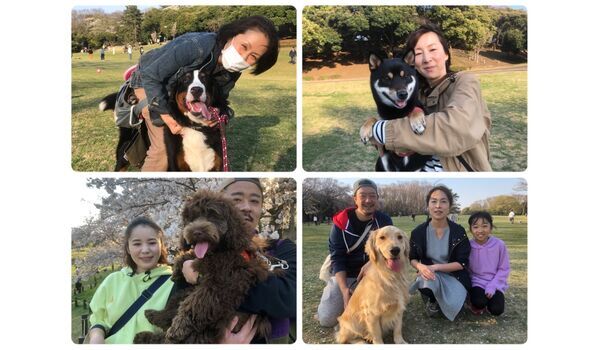 犬のしつけ教室・出張レッスン・無駄吠えの矯正レッスンを行うドッグスクール ヴィッセ、今日のわん子達～4月4日 