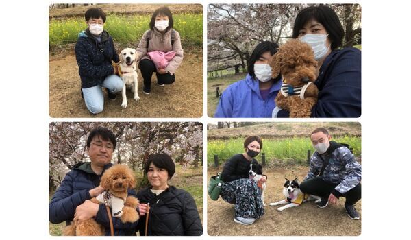 犬のしつけ教室・出張レッスン・無駄吠えの矯正レッスンを行う、ドッグスクール ヴィッセの今日のわん子達～4月5日 