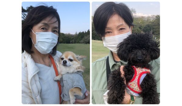 犬のしつけ教室・出張レッスン・無駄吠えの矯正レッスンを行うドッグスクール ヴィッセ、今日のわん子達～4月9日 