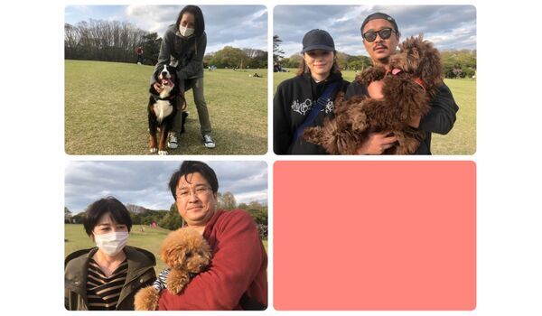 犬のしつけ教室・出張レッスン・無駄吠えの矯正レッスンを行うドッグスクール ヴィッセ、今日のわん子達～4月11日 