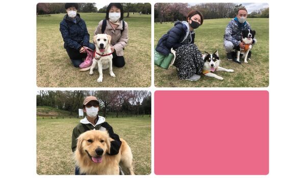 犬のしつけ教室・出張レッスン・無駄吠えの矯正レッスンを行うドッグスクール ヴィッセ、今日のわん子達～4月12日 