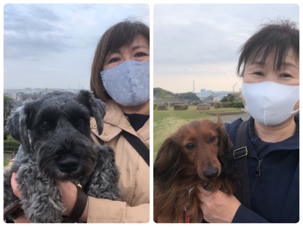 横浜市の犬のしつけ教室/今日のわん子達