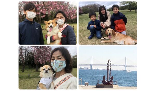 犬のしつけ教室・出張レッスン・無駄吠えの矯正レッスンを行うドッグスクール ヴィッセ、今日のわん子達～4月17日 