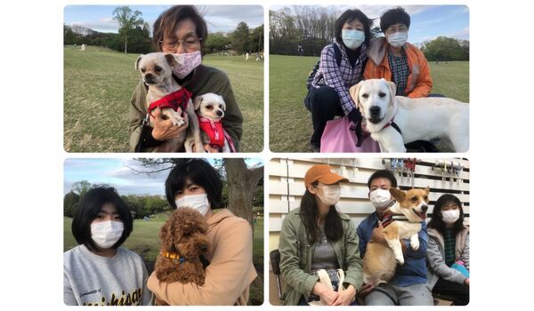 横浜市の犬のしつけ教室/今日のわん子達