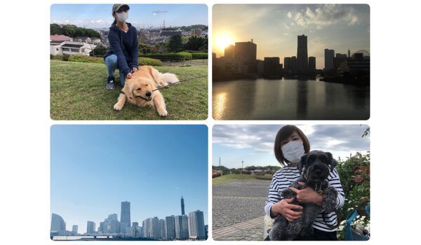 犬のしつけ教室・出張レッスン・無駄吠えの矯正レッスンを行うドッグスクール ヴィッセ、今日のわん子達～4月23日 