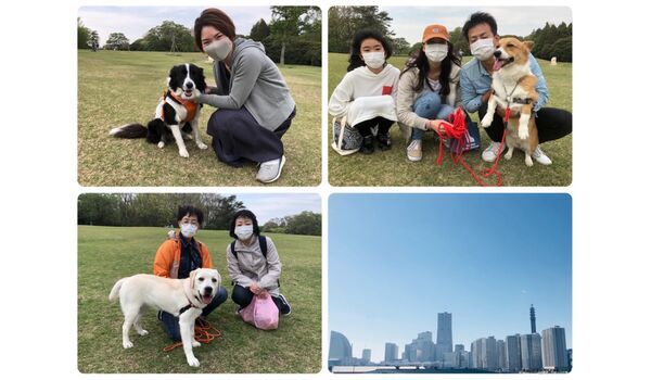 犬のしつけ教室・出張レッスン・無駄吠えの矯正レッスンを行うドッグスクール ヴィッセ、今日のわん子達～4月26日 