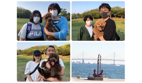 犬のしつけ教室・出張レッスン・無駄吠えの矯正レッスンを行うドッグスクール ヴィッセ、今日のわん子達～5月2日 