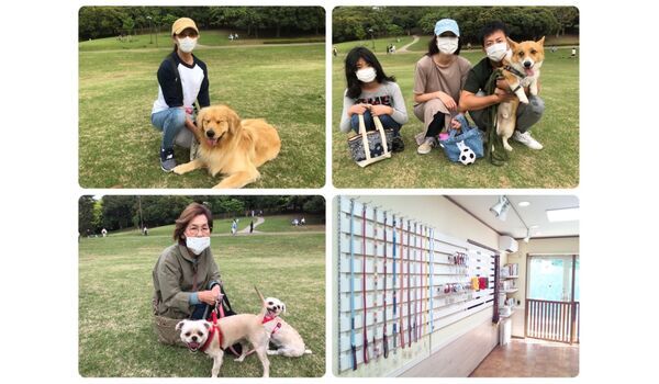 犬のしつけ教室・出張レッスン・無駄吠えの矯正レッスンを行うドッグスクール ヴィッセ、今日のわん子達～5月3日 