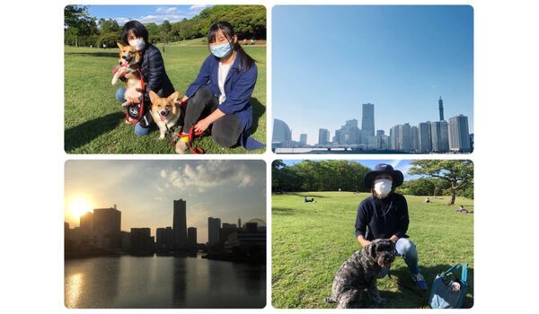 犬のしつけ教室・出張レッスン・無駄吠えの矯正レッスンを行うドッグスクール ヴィッセ、今日のわん子達～5月7日 