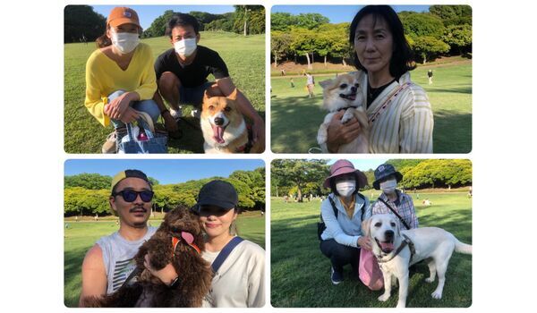 犬のしつけ教室・出張レッスン・無駄吠えの矯正レッスンを行うドッグスクール ヴィッセ、今日のわん子達～5月17日 