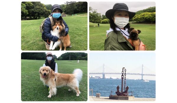 犬のしつけ教室・出張レッスン・無駄吠えの矯正レッスンを行うドッグスクール ヴィッセ、今日のわん子達～5月21日 