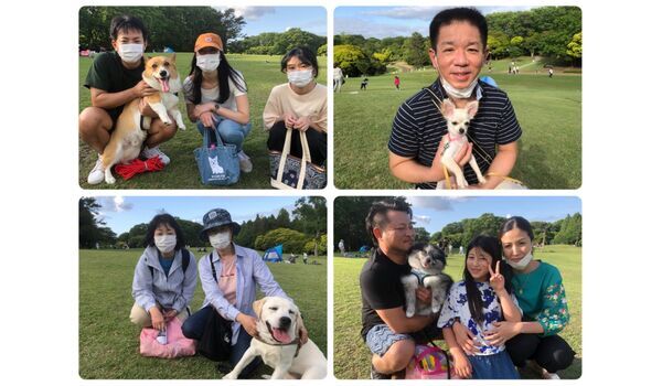 犬のしつけ教室・出張レッスン・無駄吠えの矯正レッスンを行うドッグスクール ヴィッセ、今日のわん子達～5月24日 