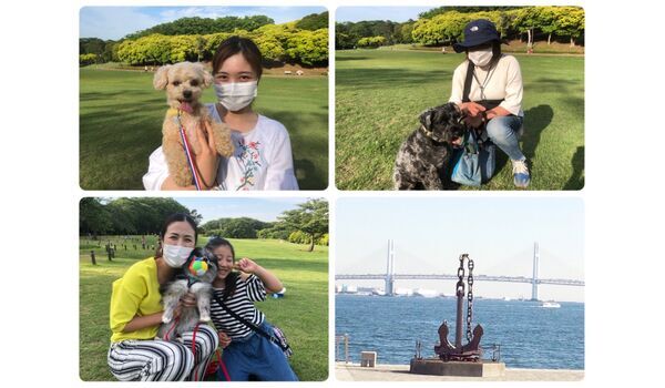 犬のしつけ教室・出張レッスン・無駄吠えの矯正レッスンを行うドッグスクール ヴィッセ、今日のわん子達～5月27日 