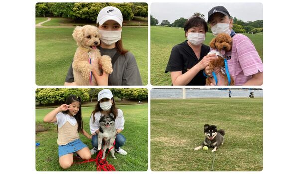 犬のしつけ教室・出張レッスン・無駄吠えの矯正レッスンを行うドッグスクール ヴィッセ、今日のわん子達～6月3日 