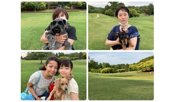 犬のしつけ教室・出張レッスン・無駄吠えの矯正レッスンを行うドッグスクール ヴィッセ、今日のわん子達～6月12日 