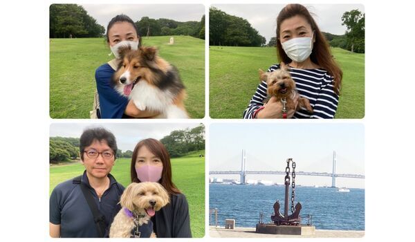 犬のしつけ教室・出張レッスン・無駄吠えの矯正レッスンを行うドッグスクール ヴィッセ、今日のわん子達～6月25日 