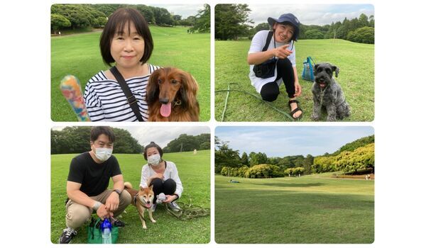 犬のしつけ教室・出張レッスン・無駄吠えの矯正レッスンを行うドッグスクール ヴィッセ、今日のわん子達～6月26日 