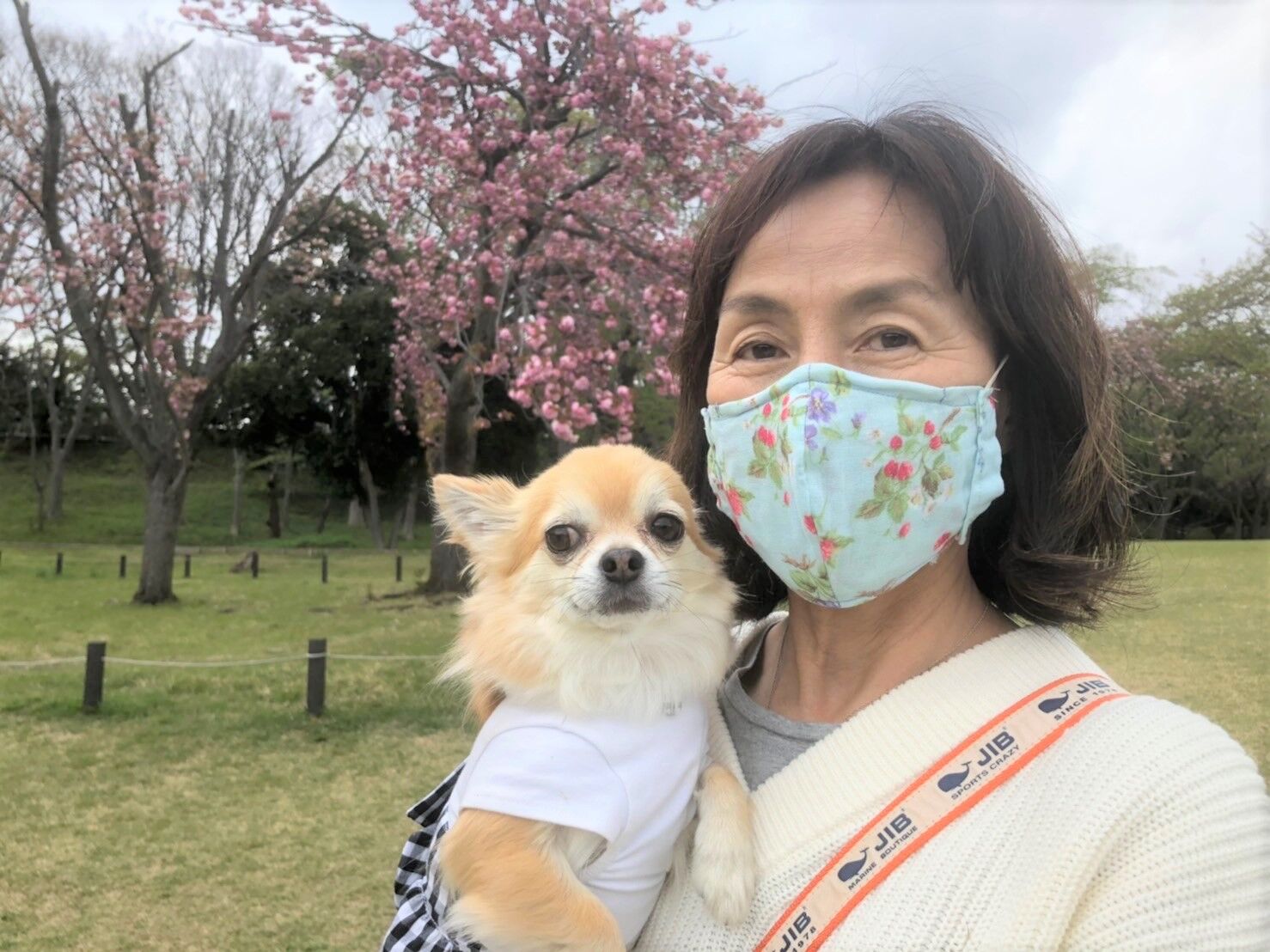 横浜市の犬のしつけ教室/お客様の声～ブログ編～
