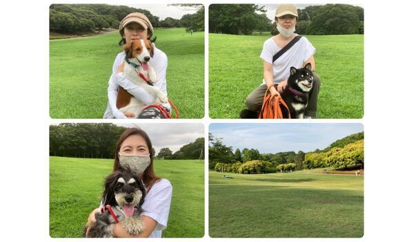 犬のしつけ教室・出張レッスン・無駄吠えの矯正レッスンを行うドッグスクール ヴィッセ、今日のわん子達～7月29日 