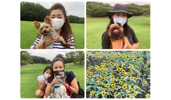 犬のしつけ教室・出張レッスン・無駄吠えの矯正レッスンを行うドッグスクール ヴィッセ今日のわん子達～7月30日 