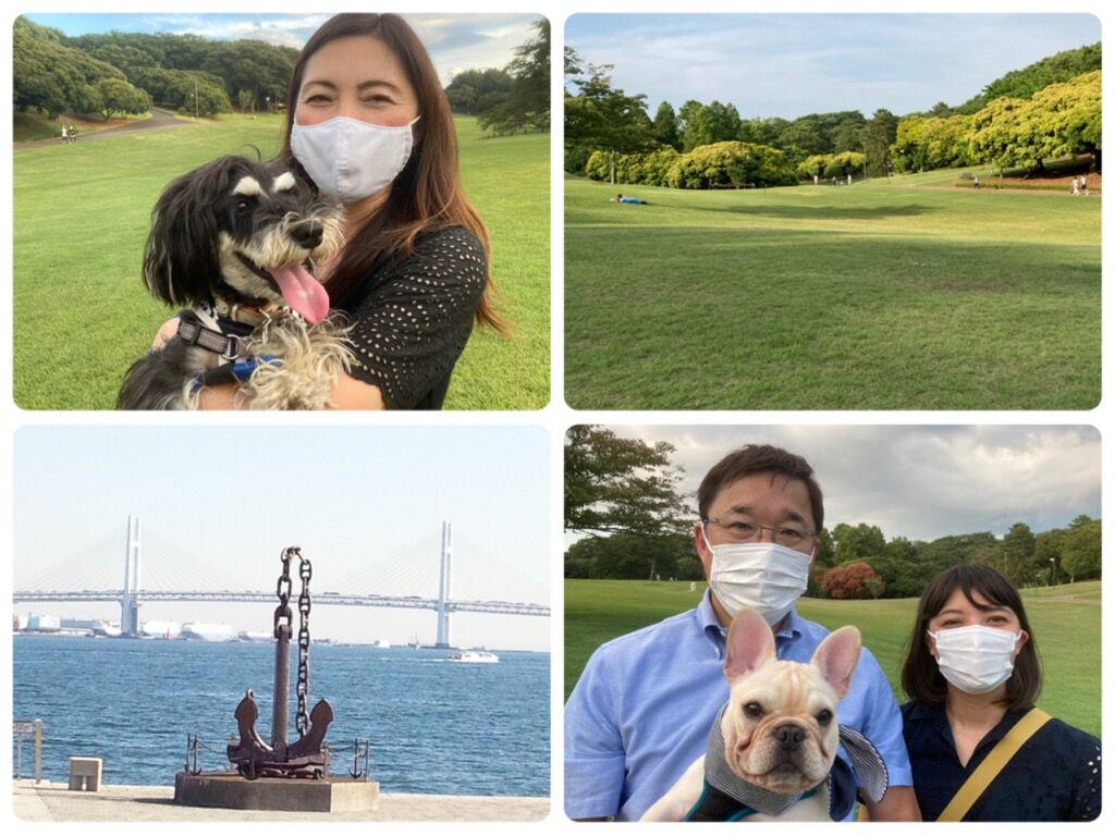 横浜市の犬のしつけ教室/今日のわん子達