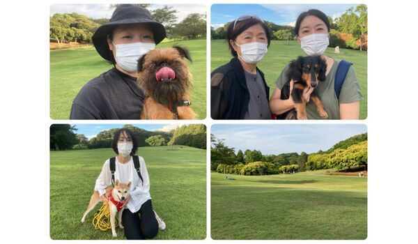 犬のしつけ教室・出張レッスン・無駄吠えの矯正レッスンを行うドッグスクール ヴィッセ、今日のわん子達～9月11 日 