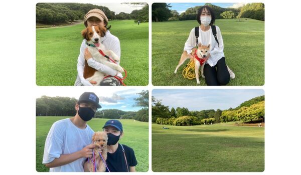 犬のしつけ教室・出張レッスン・無駄吠えの矯正レッスンを行うドッグスクール ヴィッセ、今日のわん子達～9月18日 