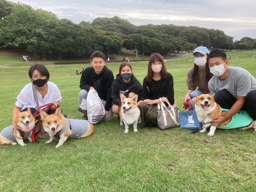 横浜市の犬のしつけ教室/今日のわん子達