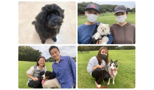 犬のしつけ教室・出張レッスン・無駄吠えの矯正レッスンを行うドッグスクール ヴィッセ今日のわん子達～10月14日 