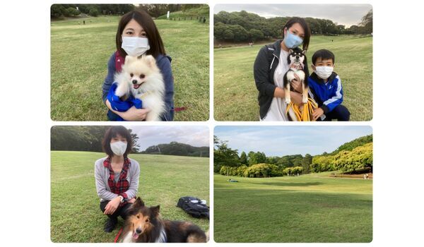 犬のしつけ教室・出張レッスン・無駄吠えの矯正レッスンを行うドッグスクール ヴィッセ、今日のわん子達～10月14日 