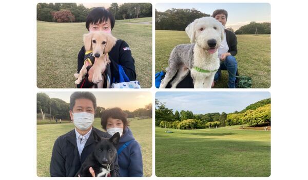 犬のしつけ教室・出張レッスン・無駄吠えの矯正レッスンを行うドッグスクール ヴィッセ今日のわん子達～10月29日 