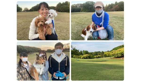 犬のしつけ教室・出張レッスン・無駄吠えの矯正レッスンを行うドッグスクール ヴィッセ今日のわん子達～11月5日 