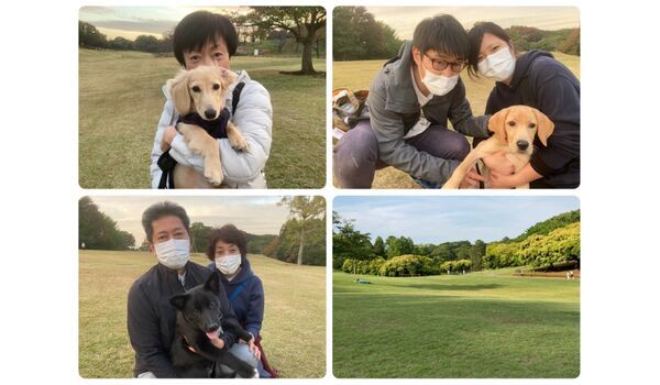 犬のしつけ教室・出張レッスン・無駄吠えの矯正レッスンを行うドッグスクール ヴィッセ今日のわん子達～11月6日 