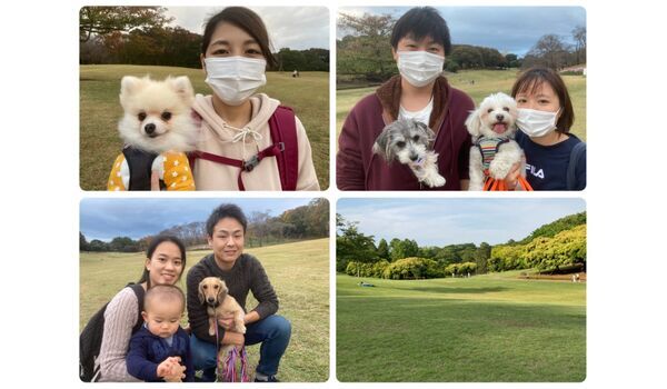 犬のしつけ教室・出張レッスン・無駄吠えの矯正レッスンを行うドッグスクール ヴィッセ今日のわん子達～11月7日 