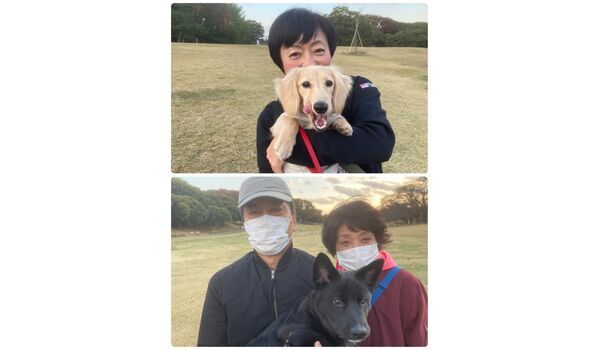 犬のしつけ教室・出張レッスン・無駄吠えの矯正レッスンを行うドッグスクール ヴィッセ今日のわん子達～11月12日 
