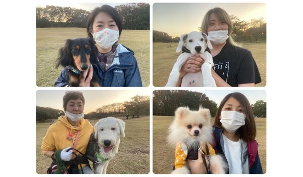 犬のしつけ教室・出張レッスン・無駄吠えの矯正レッスンを行うドッグスクール ヴィッセ今日のわん子達～11月13日 