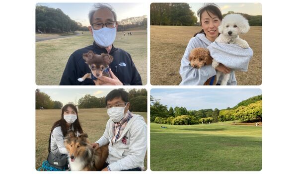 犬のしつけ教室・出張レッスン・無駄吠えの矯正レッスンを行うドッグスクール ヴィッセ今日のわん子達～11月19日 