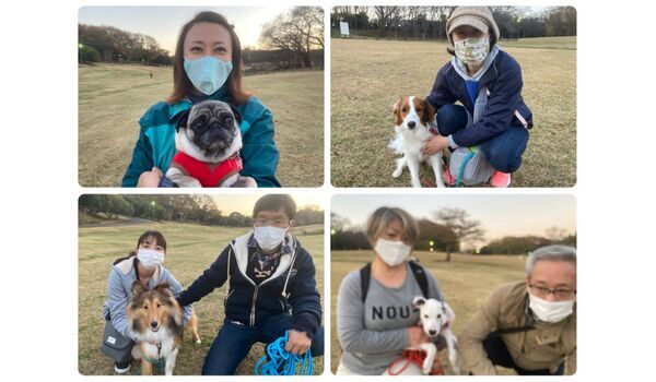 犬のしつけ教室・出張レッスン・無駄吠えの矯正レッスンを行うドッグスクール ヴィッセ、今日のわん子達～11月26日 