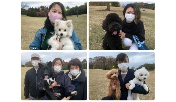 犬のしつけ教室・出張レッスン・無駄吠えの矯正レッスンを行うドッグスクール ヴィッセ今日のわん子達～11月27日 