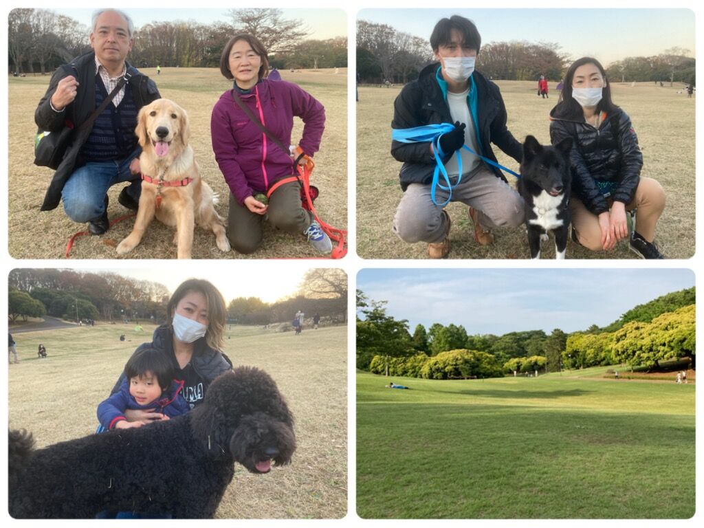 横浜市の犬のしつけ教室/今日のわん子達