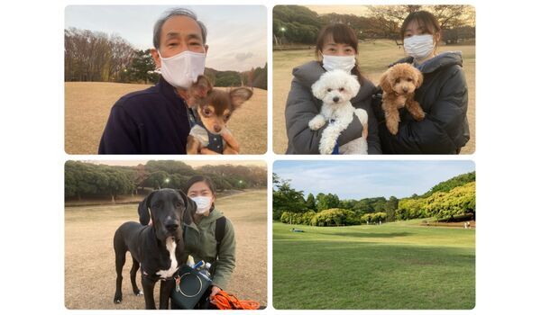 犬のしつけ教室・出張レッスン・無駄吠えの矯正レッスンを行うドッグスクール ヴィッセ今日のわん子達～12月10日 